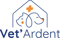 logo.abe68b0e3857 copy